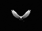Eagle | Logo Design by simc | Dribbble