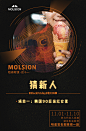 MOLSION 自媒体 闪屏