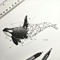 Geometric beasts whale