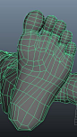 modelling, texturing, rendering, animation tutorial: topology of leg human 3d