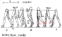 舒小米采集到运动规律