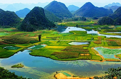 简单的纳尼采集到田间风景