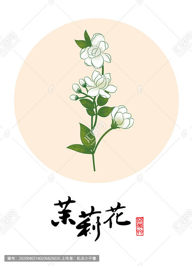 茉莉花