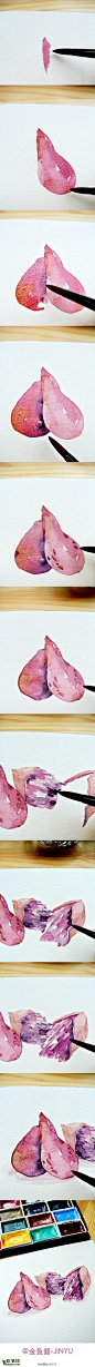 紫薯/地瓜的水彩手绘教程 金鱼酱
