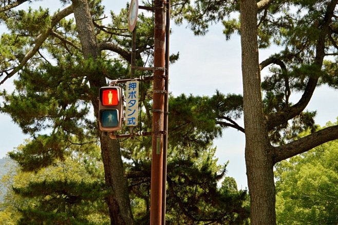 奈良公园里的一条小路口，古い信号灯，要按...