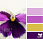 Design Seeds®: For All Who Love Color