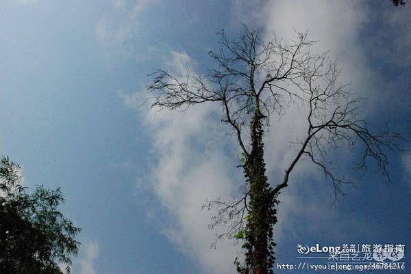 泸沽湖