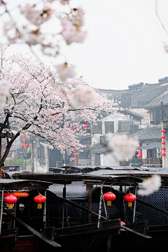 漓奈采集到路上的风景，只能边走边望