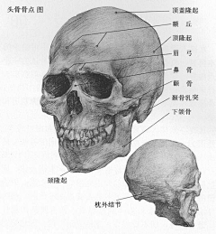 Lwan1024采集到基础研究素材