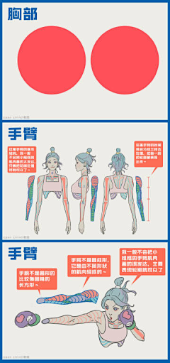 cola猴儿采集到教程