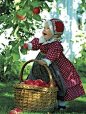 picking apples