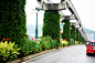 新加坡桥梁立体绿化