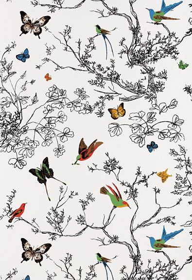 birds and butterfly ...