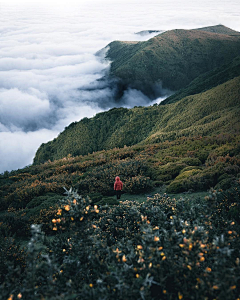 安易x采集到风景