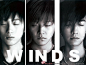 w-inds.