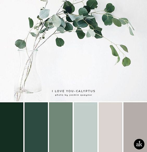 Nature Color Palette