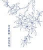 传统图案-桃花纹样(2) - 小红书