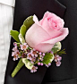 Pink Boutonniere :: A charming pink rose, pink waxflower and variegated pittosporum creates an elegant boutonniere for the groom, ushers, fathers, grandfathers, or treasured relatives. 15.00