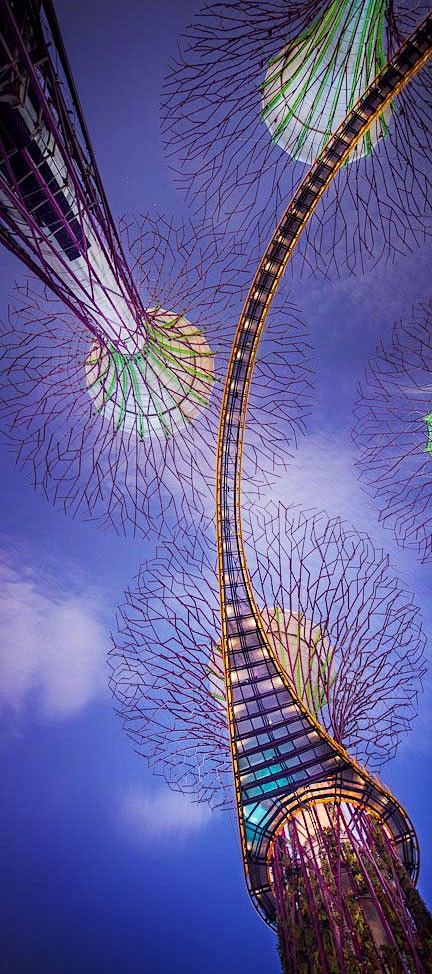 Supertrees, Singapor...