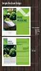 Simple Brochure Design - GraphicRiver Item for Sale