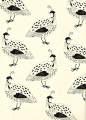 Quail birds. Katt Frank illustration.