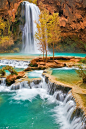 Havasu Falls in northern Arizona