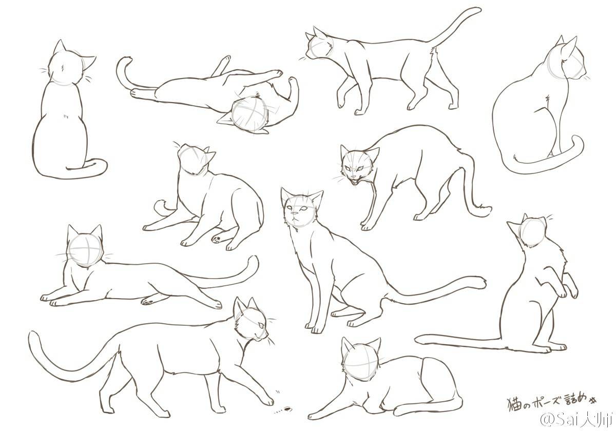 18be40686311eb6e9fc641c735cfd63e5b9b67a314a5c-NYmaIf