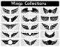 Set of black icons of different wings, vector EPS10 illustration