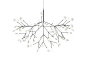 吊灯 HERACLEUM - Moooi©