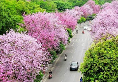 小魚從未食飽過采集到E市政公共空间-道路