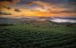 General 2100x1315 nature landscape cabbage field summer hills mist South Korea sky clouds