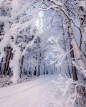 芬兰Lapua的雪景 
让你去住一个月，愿意吗？ ​ ​​​​