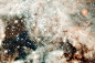 哈勃太空望远镜捕捉到蜘蛛星云中心“星爆”