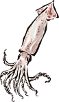 帝王蟹日系毛笔手绘海鲜水产矢量素材