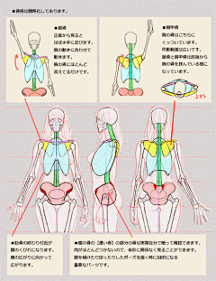 呀嘞呀嘞DAZE采集到神仙资料