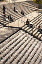 Stairs replicated by waterfalls...I wonder how many people ACCIDENTALLY step into the falls every day?: 