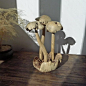 巴厘岛手工艺品 木质zakka 原木色大号迷幻的蘑菇 纯色木雕摆件