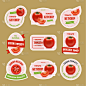 西红柿,证章,标签,漫画,蔬菜,有机食品,自然,红色,清新,布置