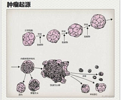 Yeagle采集到医学