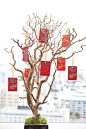 Make a wish - our Wish Tree at WP24 Restaurant offers good fortune for the Year of the Snake.