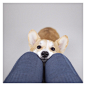 Geordi La Corgi on Instagram: “So hard to say no to this face.” 
狗、汪星人、柯基犬