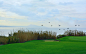 Birds flying above the golf by Xavier Rustul on 500px