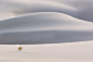 Loner by Greg Boratyn on 500px