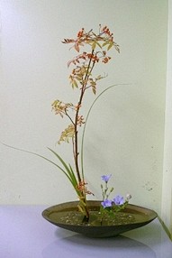 Ikebana