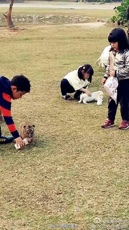 【携子之手 与睿共走】爸爸电影版拍摄结束...