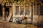 Download wallpaper miscellaneous, bike, wheel, basket, basket, nature, autumn, leaves, miscellanea resolution 2280x1500