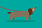 Animation of a happy sausage dog walking