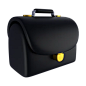 Bag  3D Icon