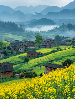 C-雨瞳采集到背景