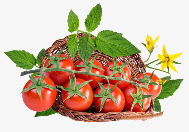 19c65cbd7eeba4f621fdec79a117c35990011250313cd-DCFwE8